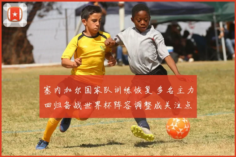 塞内加尔国家队训练恢复 多名主力回归备战世界杯阵容调整成关注点