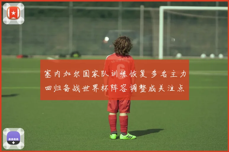 塞内加尔国家队训练恢复 多名主力回归备战世界杯阵容调整成关注点