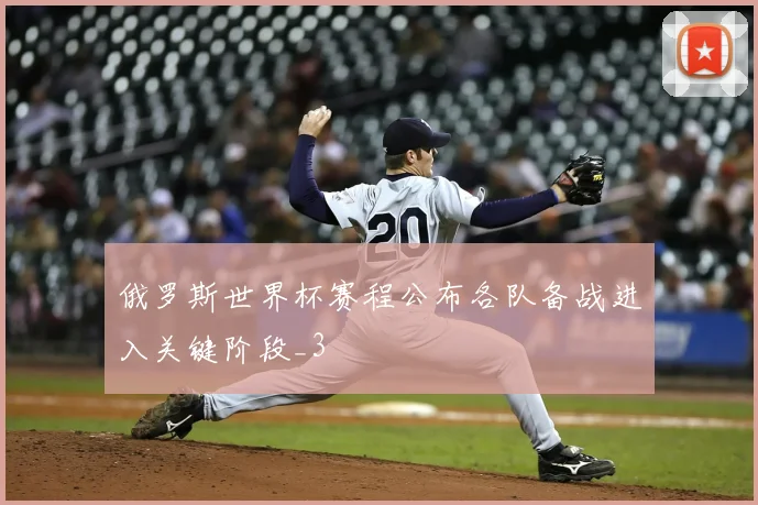 俄罗斯世界杯赛程公布各队备战进入关键阶段_3